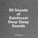 50 Sounds of Rainforest Deep Sleep Sounds