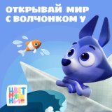 Синие цветочки