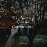 50 Amazing Rain for Concentration