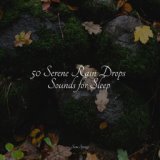 50 Serene Rain Drops Sounds for Sleep