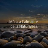 Música Calmante de la Naturaleza