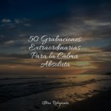 50 Grabaciones Extraordinarias Para la Calma Absoluta