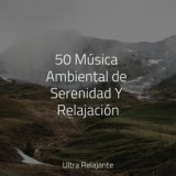 50 Música Ambiental de Serenidad Y Relajación