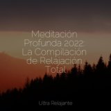 Meditación Profunda 2022: La Compilación de Relajación Total