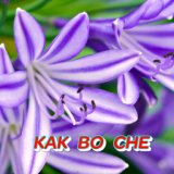 Как во сне