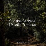 Sonidos Serenos | Sueño Profundo