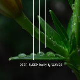 Deep Sleep Rain & Waves (Music to Fall Asleep Quickly, Tranquil Nights, Lullabies to Help You Relax)