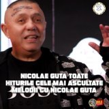 Nicolae Guta TOATE HITURILE Cele Mai Ascultate Melodii cu Nicolae Guta