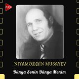 Niyaməddin Musayev
