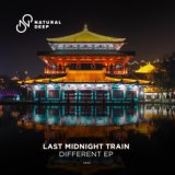 Last Midnight Train