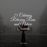 25 Calming, Relaxing Rain and Nature Sounds