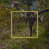 Hep Cat