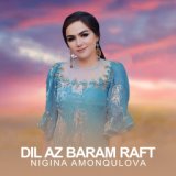 Dil Az Baram Raft