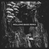 The Orb - Mollono.Bass Remix Short