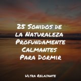 25 Sonidos de la Naturaleza Profundamente Calmantes Para Dormir