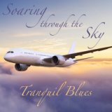 Soaring Through the Sky Tranquil Blues