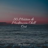 50 Música de Meditación Chill Out