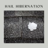 Hail Hibernation