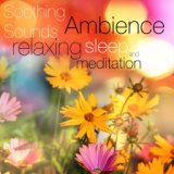 Soothing Sounds Ambience for Relaxing, Sleep and Meditation