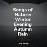 Sounds of Rain and Relax