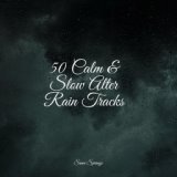 50 Calm & Slow Alter Rain Tracks