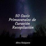 50 Oasis Primaverales de Curación Recopilación