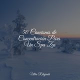 50 Canciones de Concentración Para Un Spa Zen