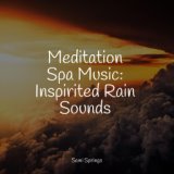 Meditation Spa Music: Inspirited Rain Sounds