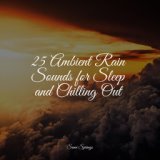 25 Ambient Rain Sounds for Sleep and Chilling Out