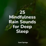 25 Mindfulness Rain Sounds for Deep Sleep