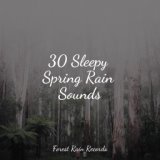 30 Sleepy Spring Rain Sounds