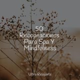 50 Recopilaciones Para Spa Y Mindfulness