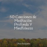 50 Canciones de Meditación Profunda Y Mindfulness