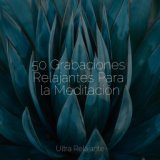 50 Grabaciones Relajantes Para la Meditación