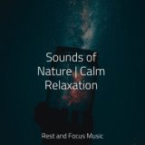 Sounds of Nature | Calm Relaxation