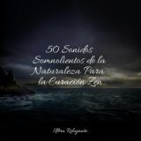 50 Sonidos Somnolientos de la Naturaleza Para la Curación Zen