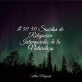 #50 50 Sonidos de Relajación Intemporales de la Naturaleza