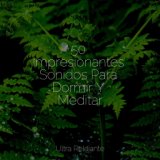 50 Impresionantes Sonidos Para Dormir Y Meditar