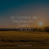 50 Sonidos de Meditación - Sueño Tranquilo