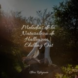 Melodías de la Naturaleza de Halloween | Chilling Out