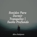 Sonidos Para Dormir Tranquilos | Sueño Profundo