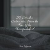 50 Sonidos Calmantes Para la Paz Y la Tranquilidad