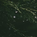 30 Stunning Rainfall Collection for Meditation