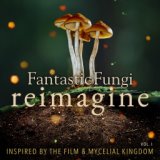 Disco Sun (Fantastic Fungi: Reimagine)