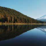 Melodías De La Naturaleza De Otoño | Relajación