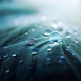 Peaceful Melodies | Tranquil Rainfall