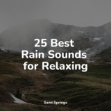 25 Best Rain Sounds for Relaxing