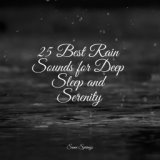 25 Best Rain Sounds for Deep Sleep and Serenity