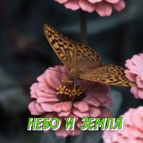 НЕБО И ЗЕМЛЯ