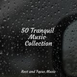 50 Tranquil Music Collection